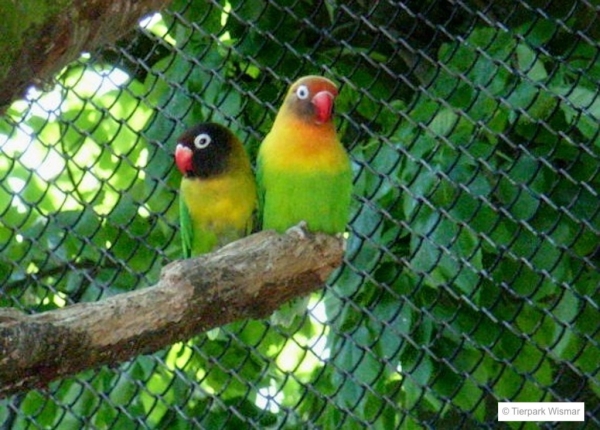 Tierpark Wismar