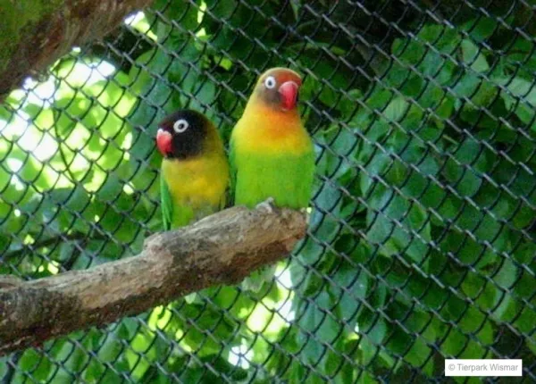 Tierpark Wismar