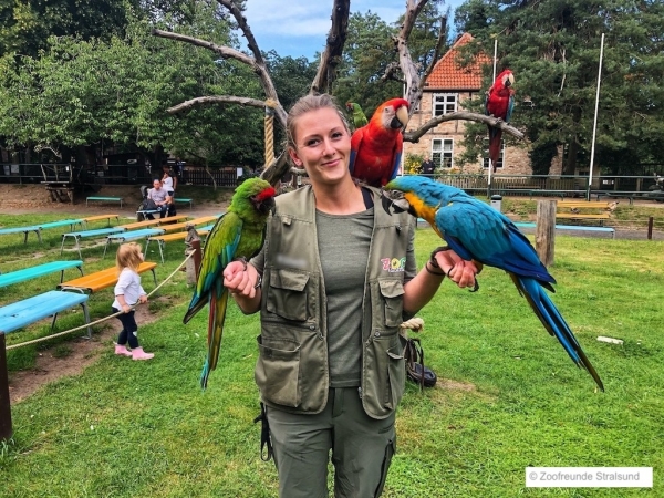 Zoofreunde Stralsund