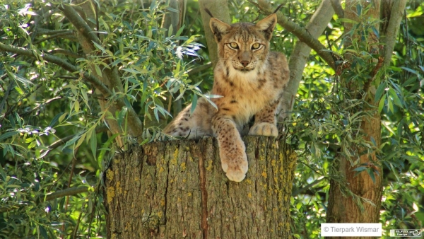 Tierpark Wismar