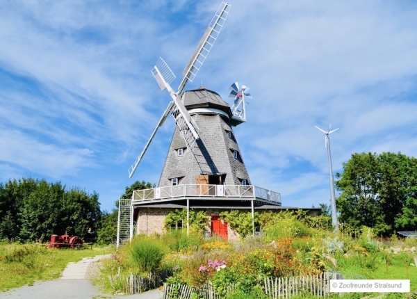 Zoofreunde Stralsund