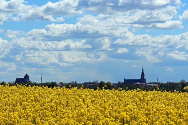 Aussicht in Greifswald