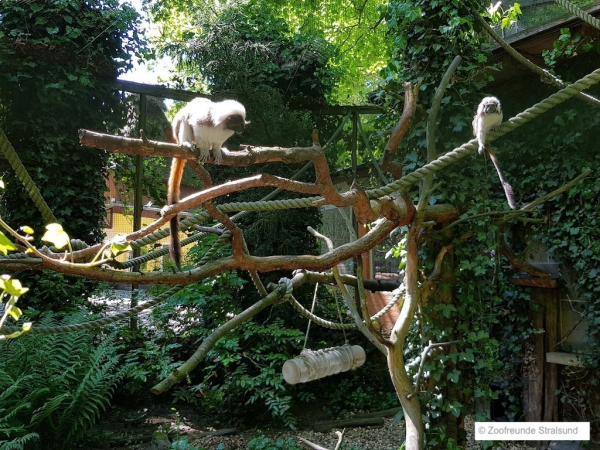 Zoofreunde Stralsund