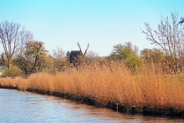 Natur in Greifswald