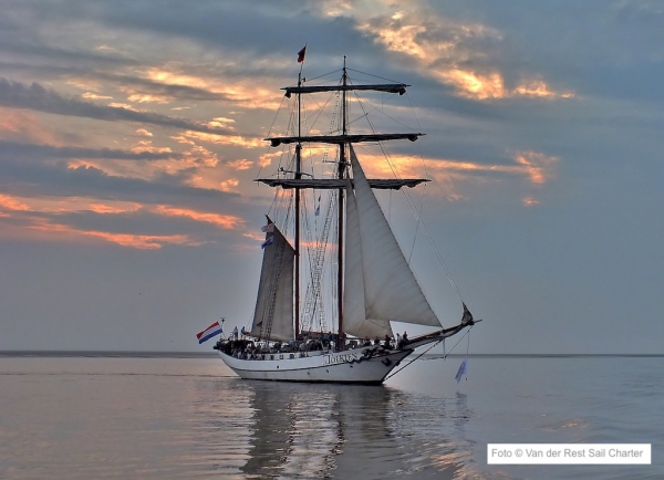 Großsegler in Rostock