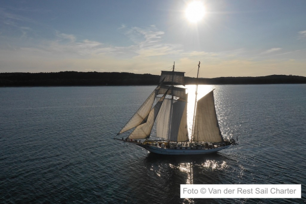 Großsegler in Rostock