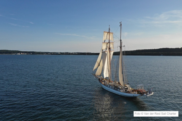 Großsegler in Rostock