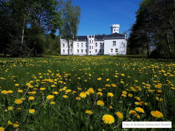 Schloss Hohendorf
