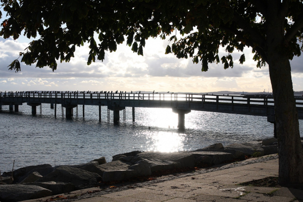 Seebrücke in Sassnitz