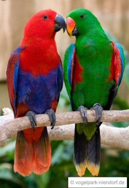 Vogelpark Niendorf