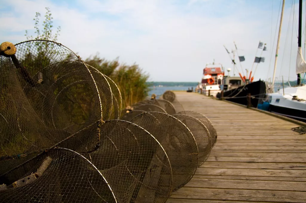 Fisch vom Kutter, Fischerboot, Reuse, Ostsee, Schleswig-Holstein