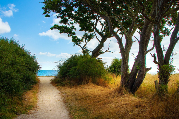 Weg zum Strand in Dahme