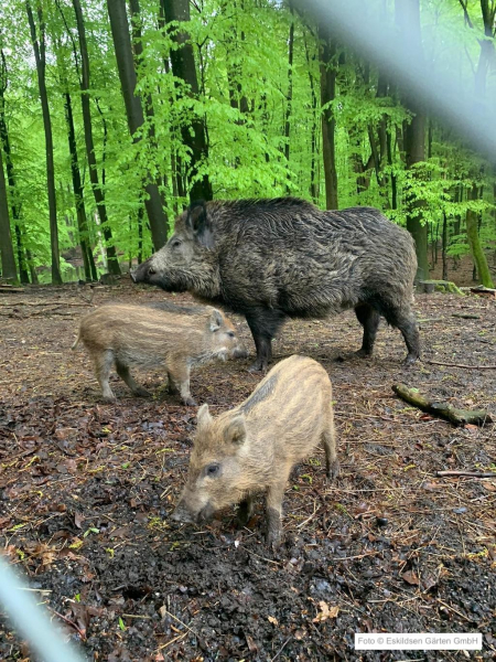 Wildpark Malente